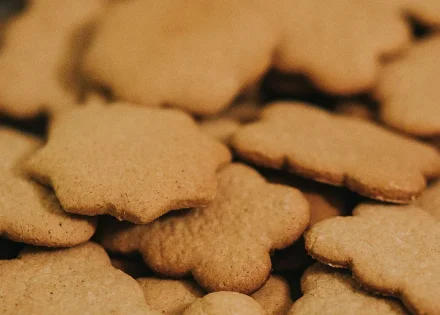 recipe photo