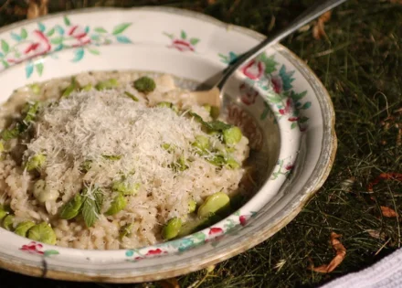 recipe photo