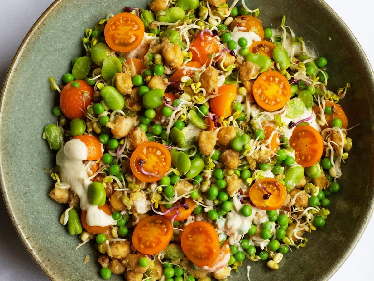 sprouted-seeds-chickpeas-and-beans sprouted-seeds-chickpeas-and-beans